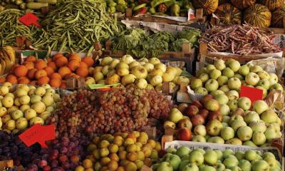 ضبط 55 طنًا من الفواكه المهرّبة