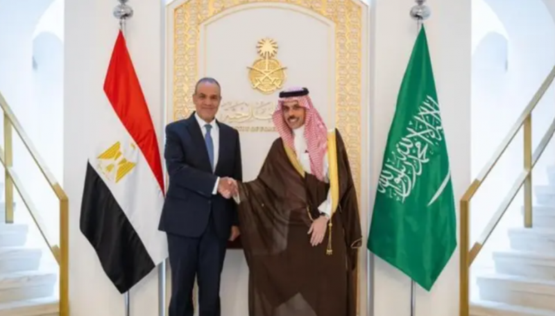 وزير الخارجية السعودي يبحث مع نظيره المصري الأوضاع الدولية