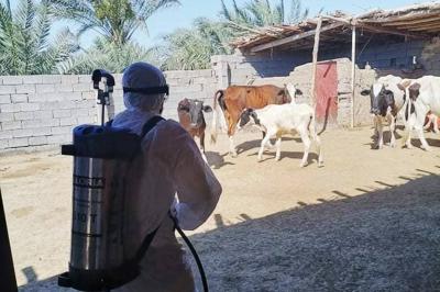 صلاح الدين تعلن حالة الطوارئ الصحية وتشكل خلية أزمة لمواجهة الحمى النزفية