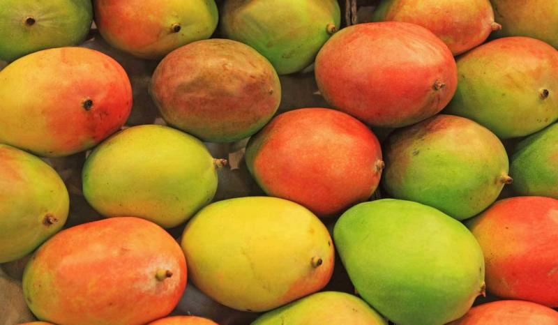 الجمارك: ضبط 12 طناً من المانغا اليمنية وغرامة 3 مليارات ليرة