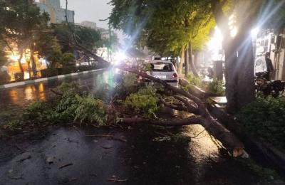 عاصفة مطرية عنيفة تضرب طهران (فيديوهات)