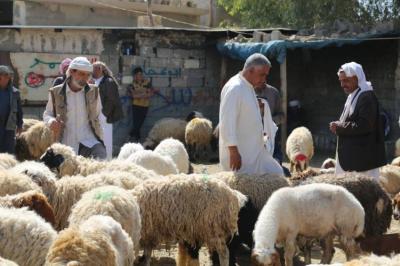 الحمى النزفية.. وفاة ثالثة في كركوك