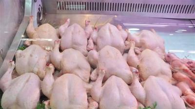 العراق الثالث عربياً باستيراد الدجاج البرازيلي