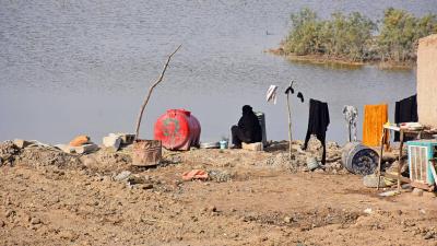 الجفاف في العراق يهدد الجاموس وسبل عيش المزارعين