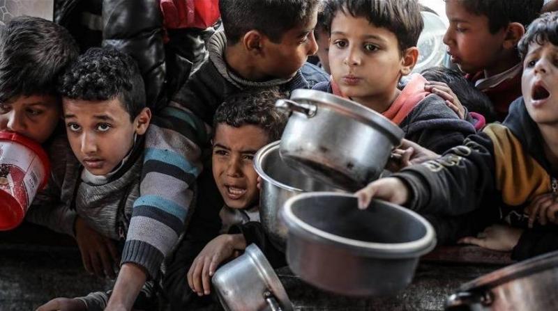 سفير أميركا في إسرائيل: أطراف عدة ستوزع المساعدات في غزة