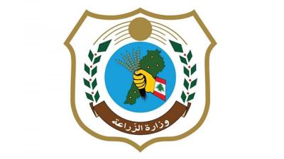 بعد حادثة الرملة البيضاء.. 