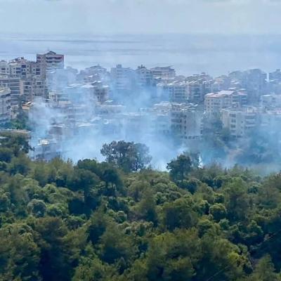 تجدد الحرائق في بشامون (صورة)