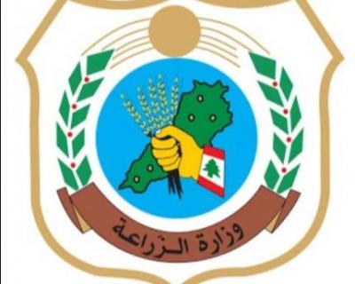 وزارة الزراعة: إصلاح شامل يعيد القطاع إلى الواجهة الوطنية