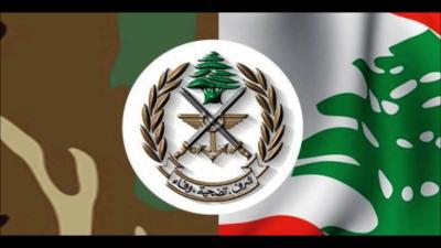 الجيش يضبط كمية من الأسلحة والذخائر الحربية