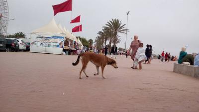وفاة سائحة بـ