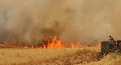 بالفيديو.. حريق في حقل قمح على طريق المصنع