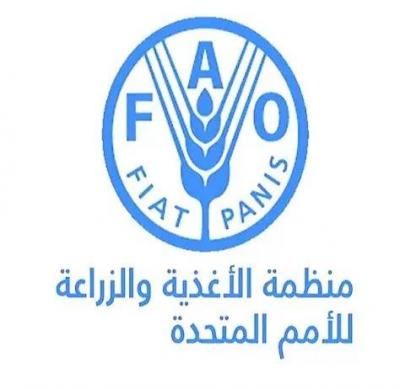 الفاو: أسعار الغذاء العالمية ارتفعت بشكل طفيف في حزيران