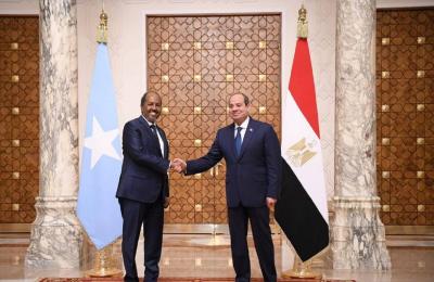 السيسي يبحث مع نظيره الصومالي الأوضاع في القرن الإفريقي والبحر الأحمر