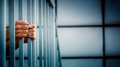شعبة المعلومات تلقي القبض على مطلوب 