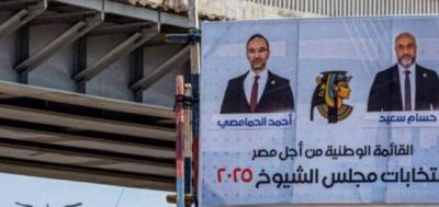 المصريون ينتخبون مجلس الشيوخ بدءاً من الإثنين