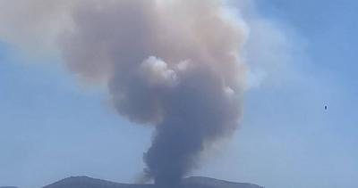 حريق كبير بين جزين ونيحا.. والدفاع المدني يحاول إخماده