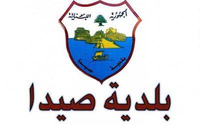 بلدية حارة صيدا: لم يحصل أي إشكال مع الجيش
