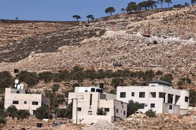 بالصور - جرافات إسرائيلية تقتلع مئات الأشجار في قرية بالضفة الغربية