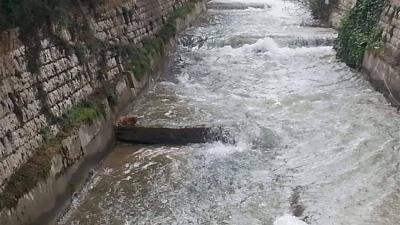 تسرّب مياه آسنة في مجرى نهر البردوني