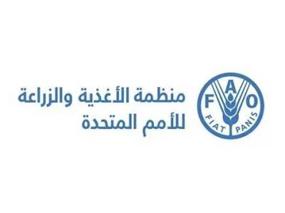 الفاو: أسعار الغذاء العالمية لم تتغير تقريبا في آب