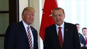 ترامب يستقبل أردوغان في البيت الأبيض الأسبوع المقبل