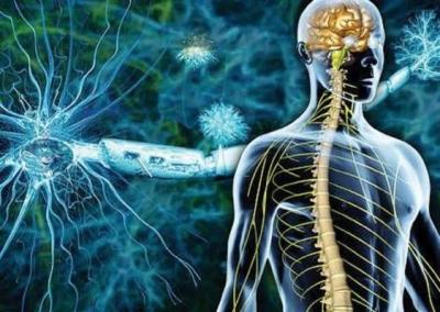 خلطة دوائية ترمم الأعصاب التالفة بسبب التصلب اللويحي