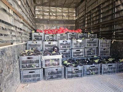 الجمارك تضبط بضائع مهرّبة في البقاع