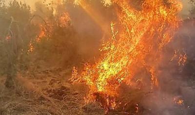 بالفيديو- حريق كبير في اغميد يهدد المنازل وإخماد آخر في طرابلس