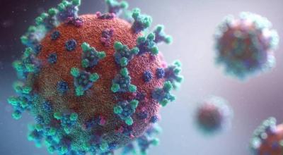 هل يعود كابوس