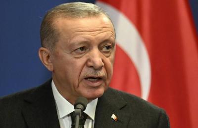 أردوغان: آمل بأن تتوصل روسيا وأوكرانيا قريبا إلى تسوية