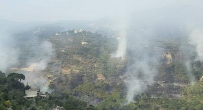 اطفاء الحريق في أحراج بكاسين وبنواتي والغباطية
