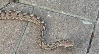 مدينة إسرائيلية تعيش 