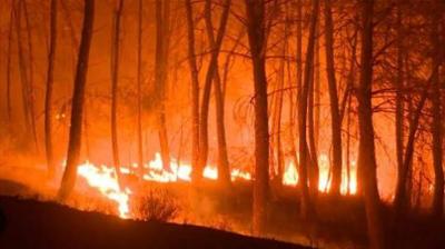 استمرار النيران مشتعلة بين بكاسين و عاراي