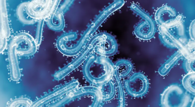 مصر تتأهب لفيروس خطير محتمل من إثيوبيا