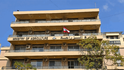 وزارة الزراعة ترفع علمًا جديدًا فوق مبناها