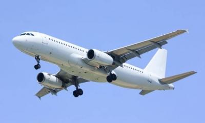 لحظات مرعبة في الجو: اصطدام مفاجئ يجبر طائرة على الهبوط