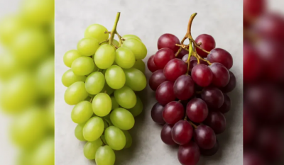 أيهما أفضل.. العنب الأحمر أم الأخضر؟
