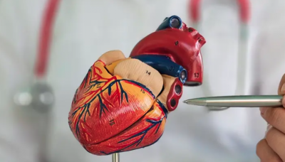 جلطات القلب والموت المفاجئ تقتحم حياة الشباب في العشرينات