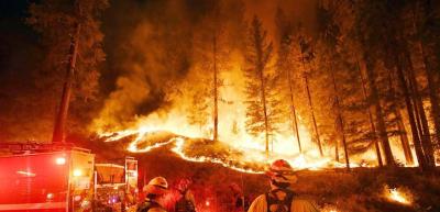 نداء عاجل لوقف حرائق جزين