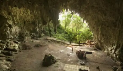 من الكهوف إلى الانقراض.. كيف قضى تغير المناخ على 