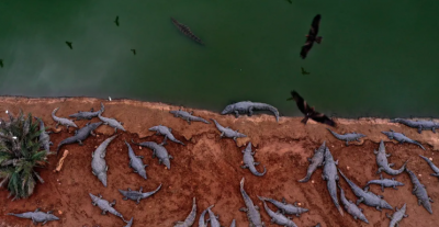 إسرائيل تكشف سبب 