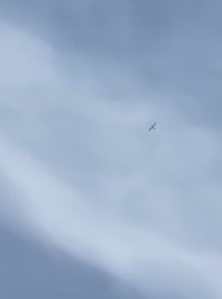 بالفيديو - مسيّرة إسرائيلية في أجواء بيروت