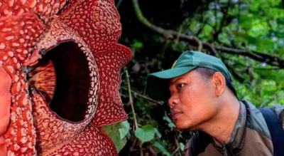 شاهد لحظة العثور على 