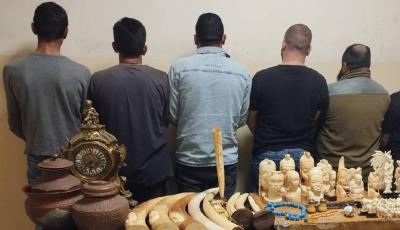 شعبة المعلومات تكشف سرقة تحف أثريّة في الميناء