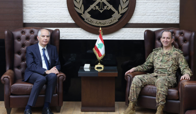 هيكل يستقبل ماغرو