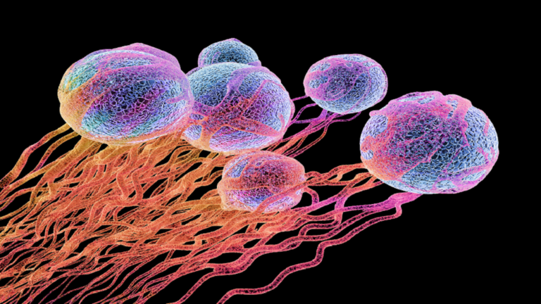 اكتشاف يفتح بابًا لعلاجات مناعية جديدة للسرطان