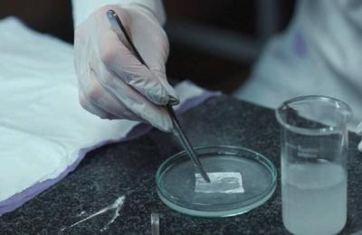 علماء روس يبتكرون ضمادة جروح متعددة الوظائف لتعزيز الشفاء