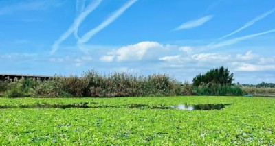 أزمة عمرها 100 عام.. رادارات فضائية مصرية لإنقاذ مياه النيل