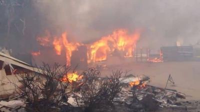 تشيلي تعلن حالة الكارثة مع إجبار حرائق الغابات الآلاف على الفرار