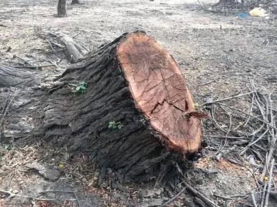 الخرطوم تختنق 